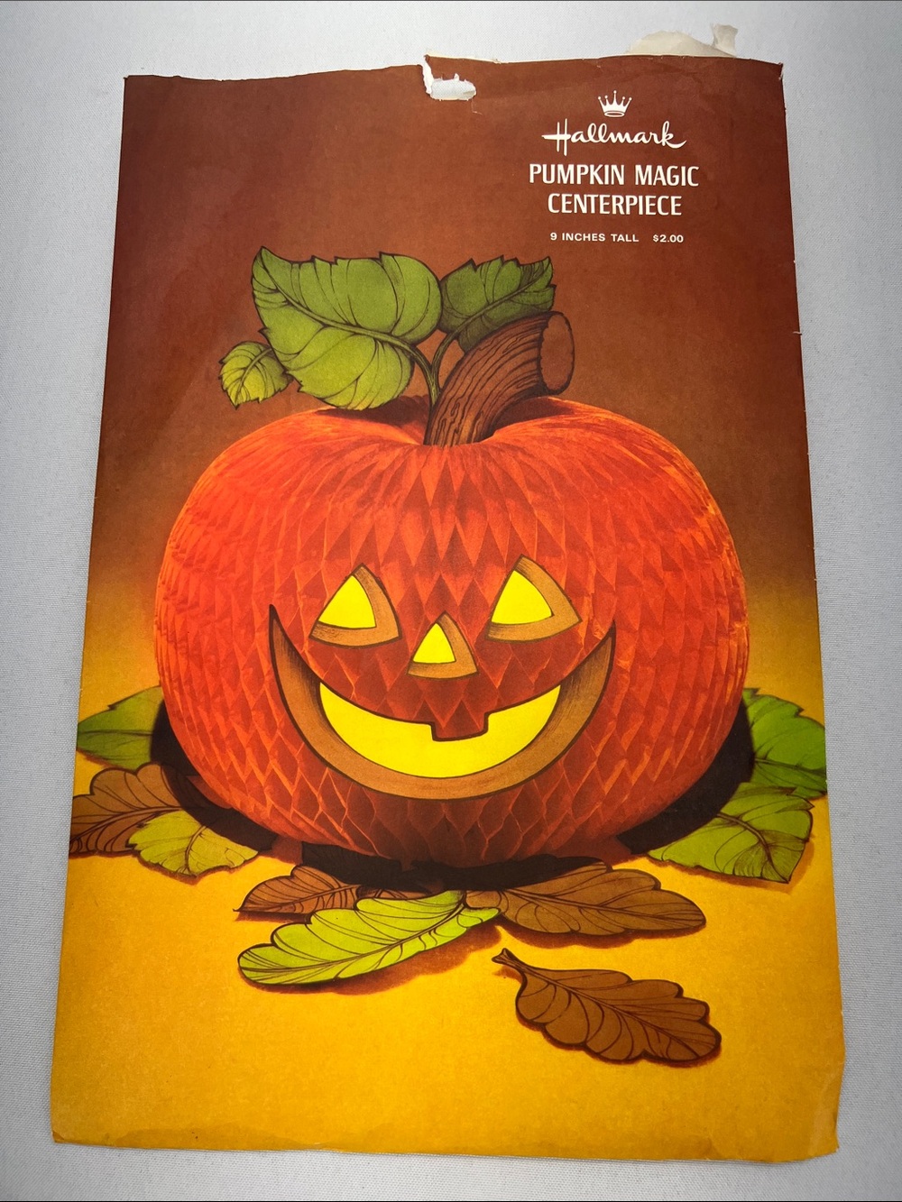 Hallmark Orange Pumpkin Magic Jack-O'-Lantern Centerpiece Paper Honeycomb